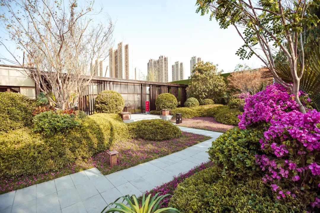 城事完整,淄博城南最新消息