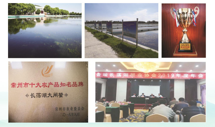 规模化水产养殖业基地的建设,打造国家级畜牧水产品基地