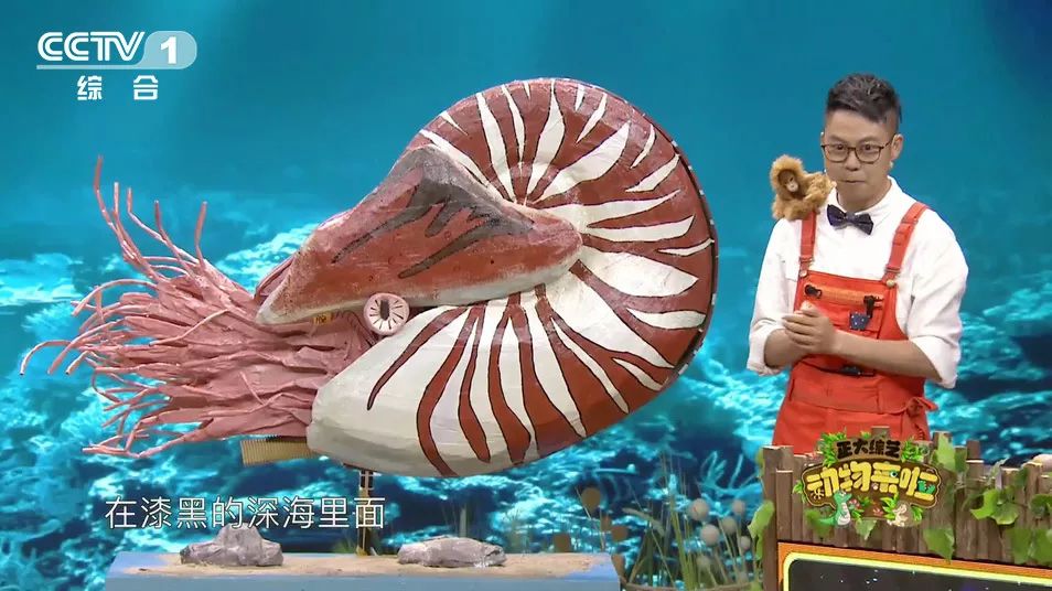 为啥大熊猫长大了那么脏不给糖,大熊猫为何会白化