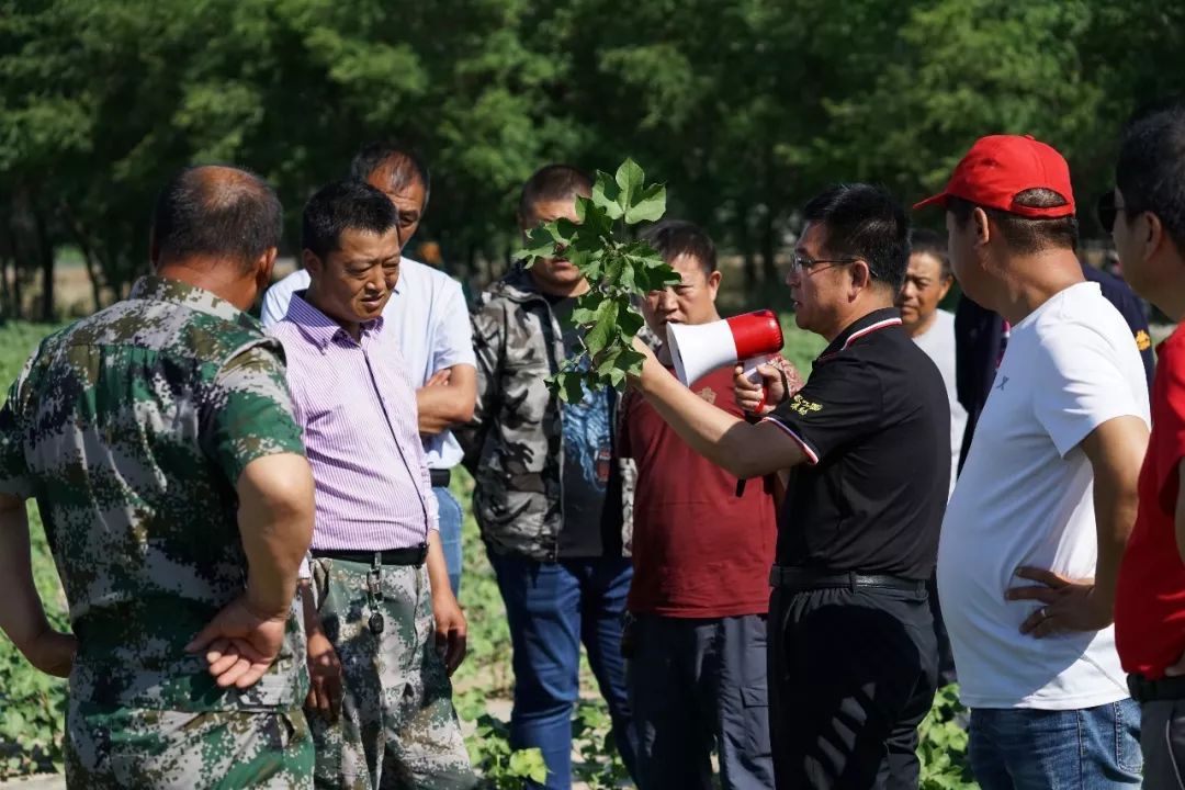 土壤消毒熏蒸剂,土壤熏蒸剂假货