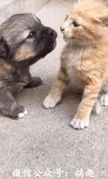 每天3分钟尽览天下事（微信、支付宝可免费申领ETC/年底前，河南又有5条高速要通车/本月郑州有9场主题招聘会等你来）