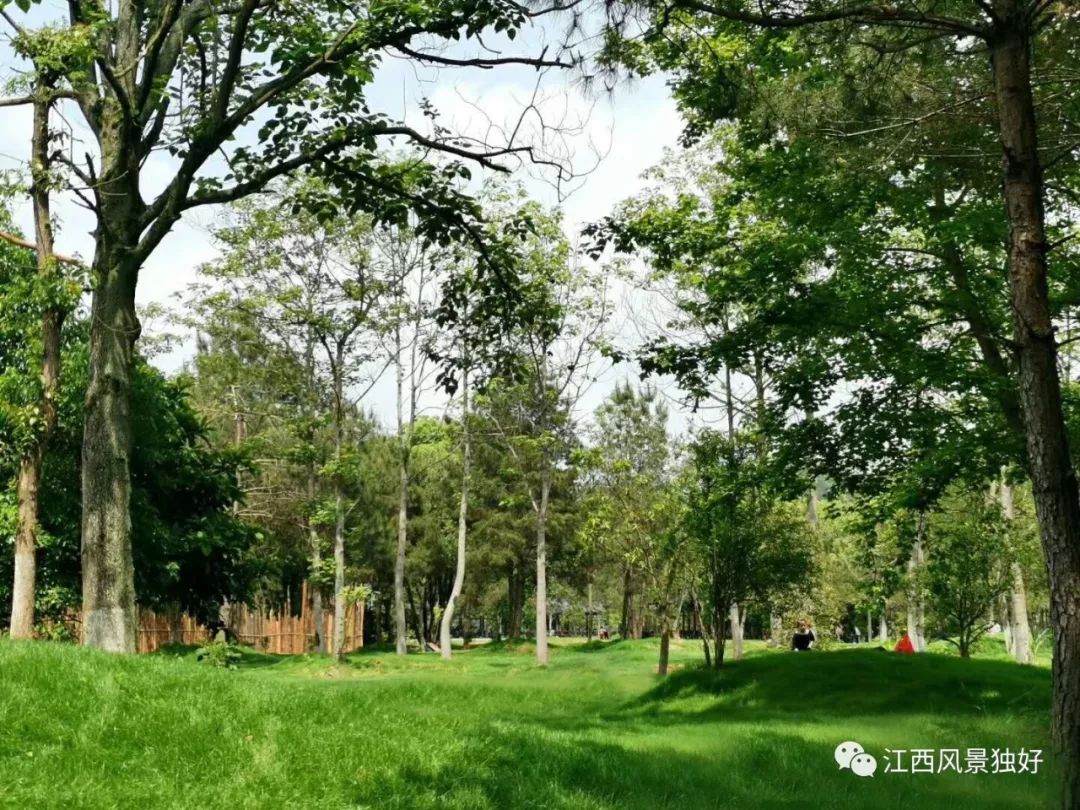 天柱峰门票优惠政策,天柱峰景区门票多少钱