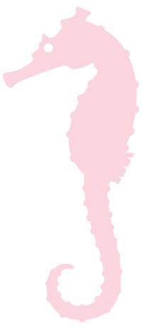 暑假银行活动,青少年暑假实践活动进银行简报