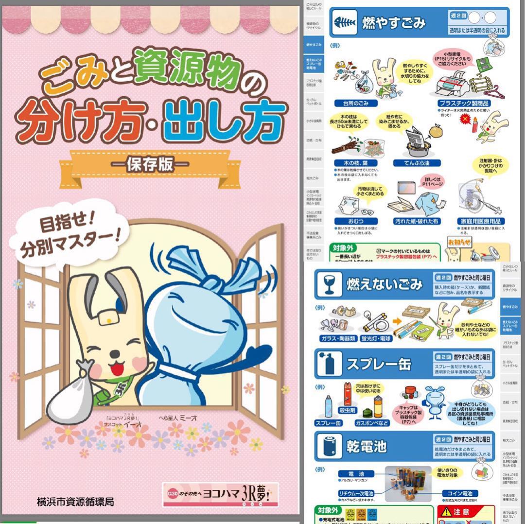 为什么日本垃圾分类比较严格,日本垃圾分类怎么处理