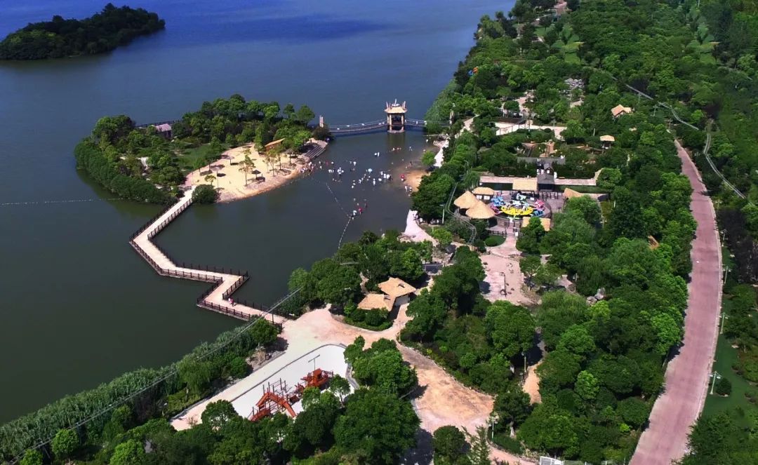 七月寻凉首选地！离上海车程仅1.5h，藏着座解暑小城！赏花赏水更赏情，藏着让人静下来的神奇魔力