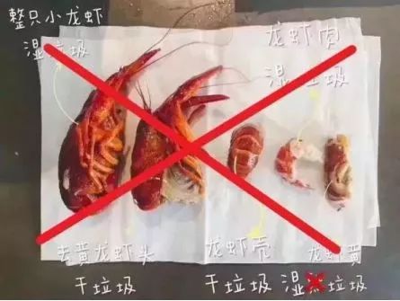 科普为什么垃圾要分类,科普垃圾分类图片