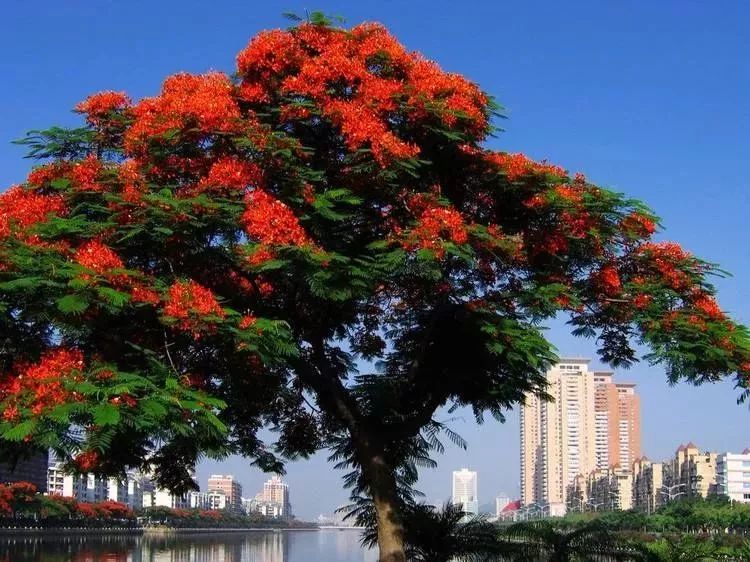 华丽升级,厦禾路哪一年改造