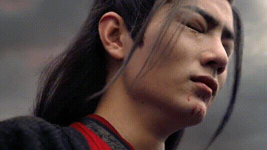 为什么都说陈情令好看,陈情令到底哪里好看