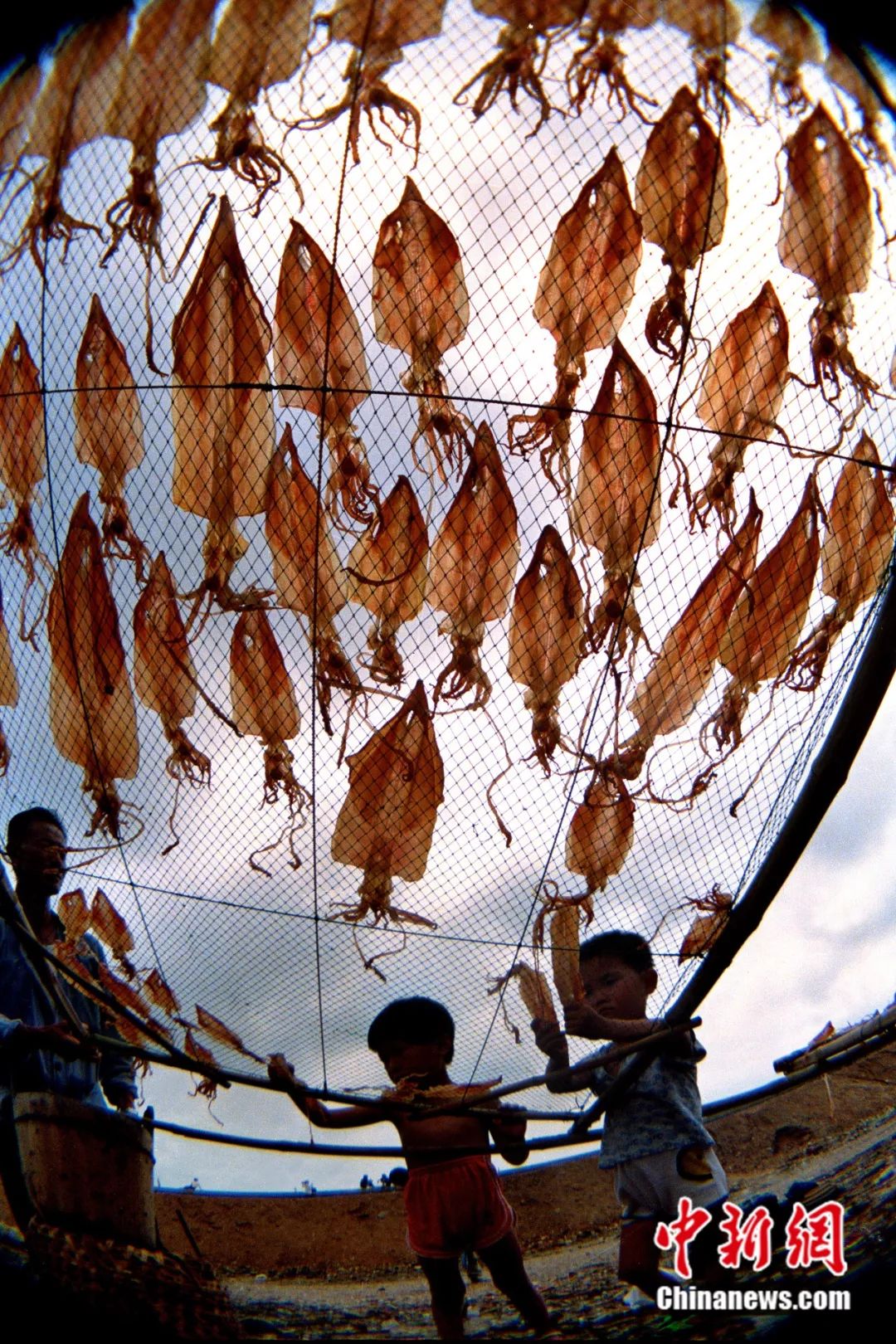 福建有约,福建与世界有约视频