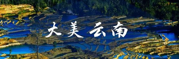 云南建水游玩以后的感受,大美云南滇西之旅