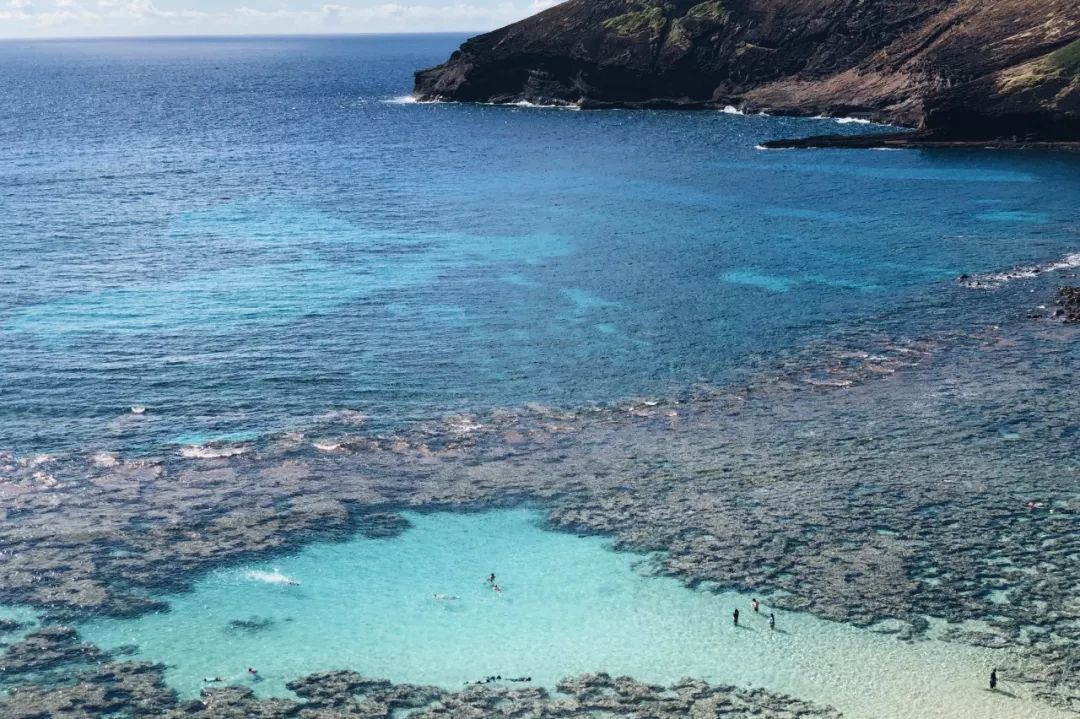 夏威夷旅游攻略阿罗哈,夏威夷maui岛旅游攻略