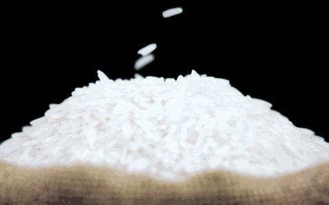 米里发现小黑虫,家里米缸里有黑色虫子如何消灭