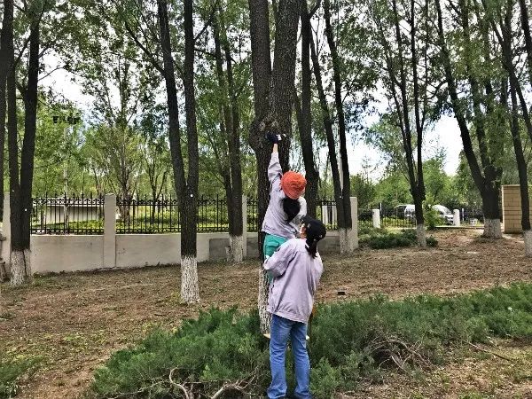 走一会脚底麻怎么回事,脚底起一堆小泡泡怎么治疗