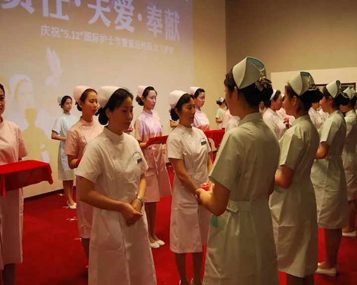 鞍山市的贵族学校,鞍山正规的学校