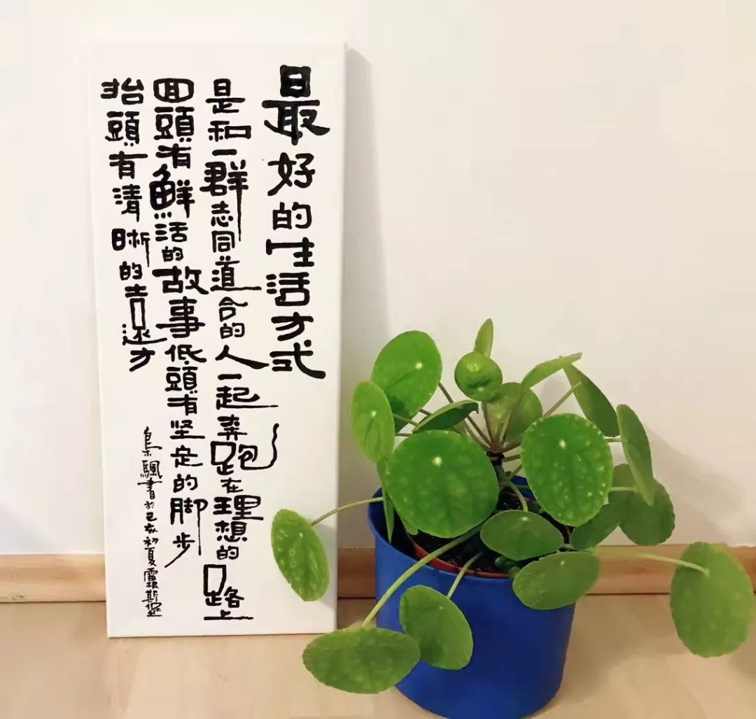 我要活到100岁,人生目标是活到100岁