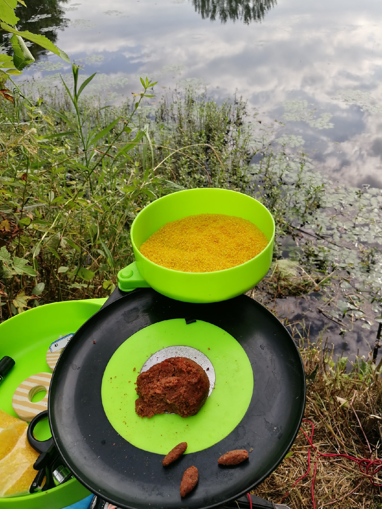 头顶烈阳开拓钓位逐泡寻鲫放流可怜鱼获