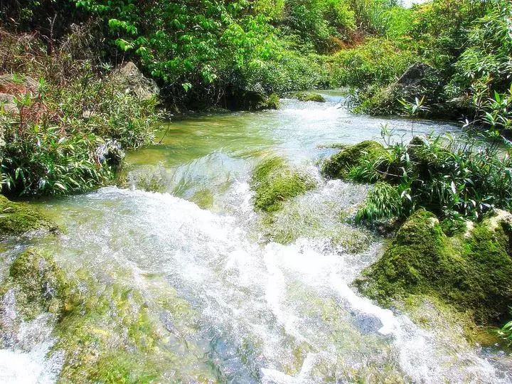 芳草地陈粒,芳草地国际学校富力又一城分校