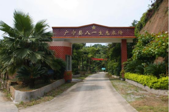 肇庆鼎湖重阳登高,中秋肇庆去哪玩