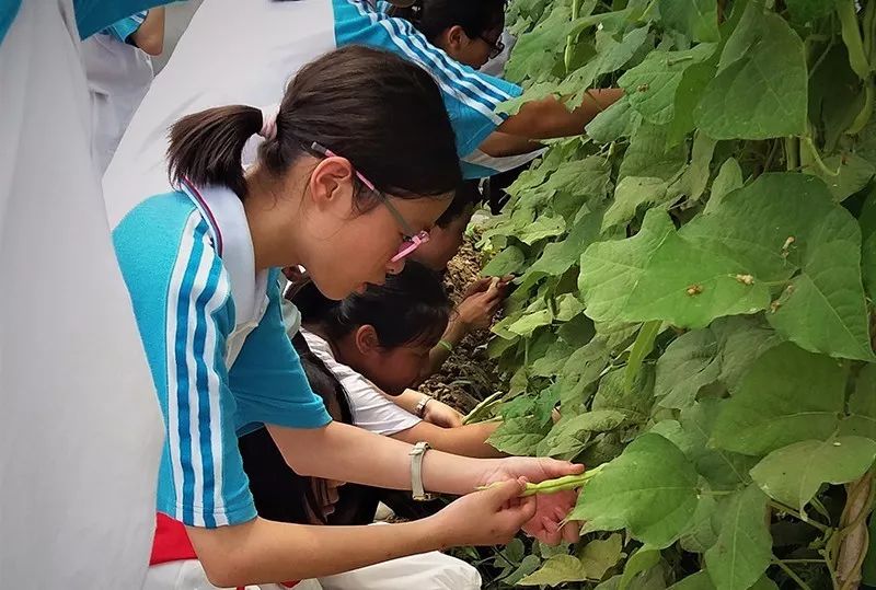 喜讯传来，这所学校厉害了！四中五中录取率名列全市前茅