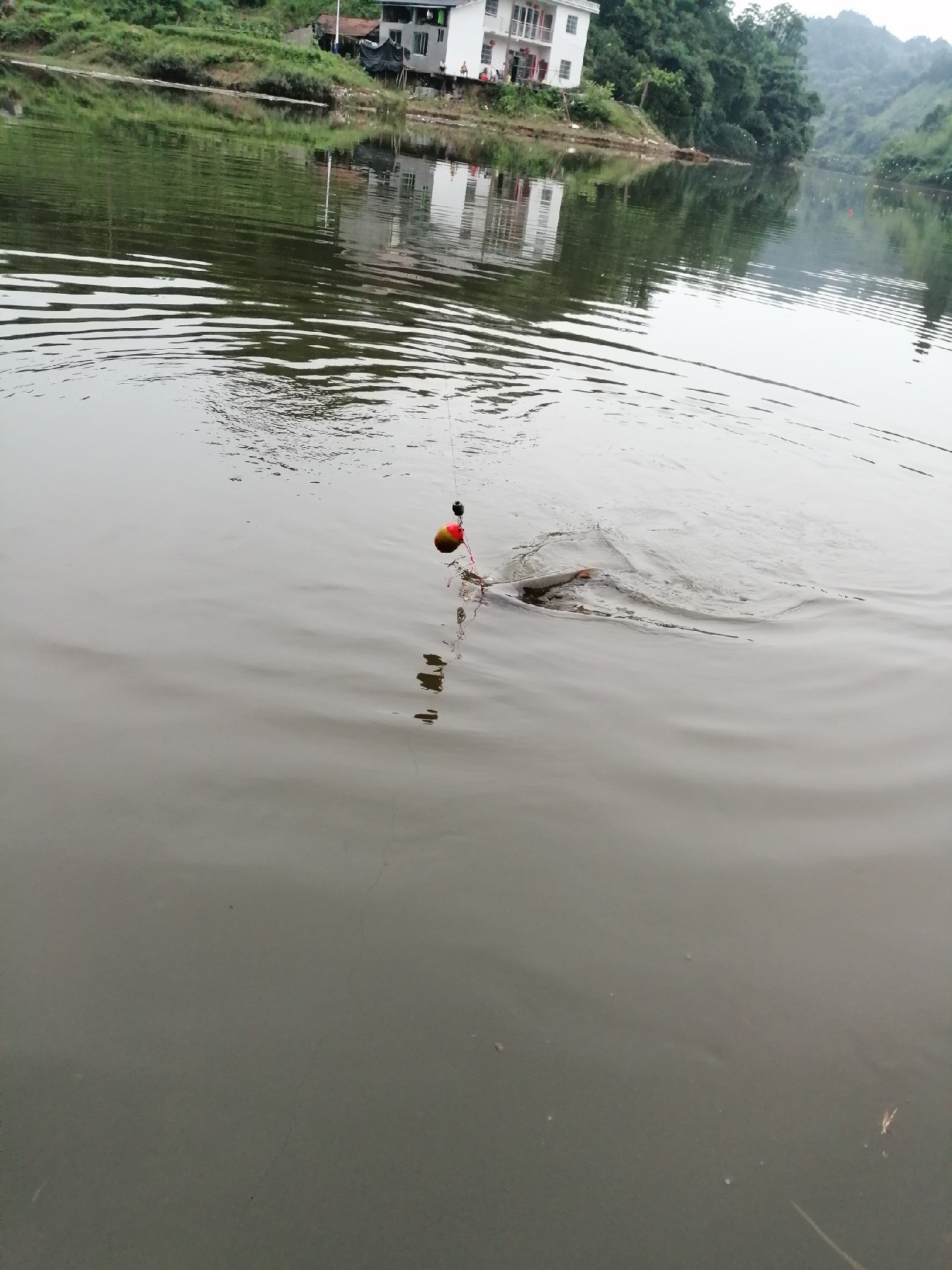 海竿篇：吟龙剑岀鞘擒鲢显风骚