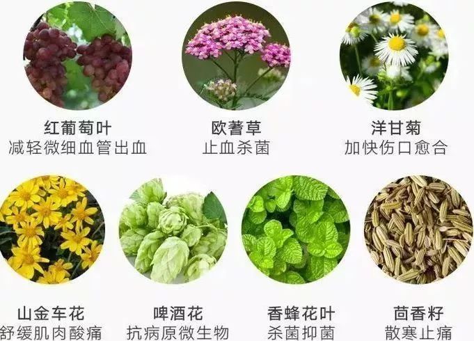 提前下单的好物,提前购买未来要买的东西