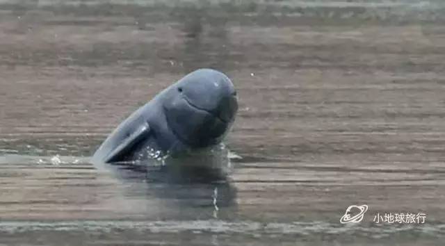 缅甸一日游经典攻略,缅甸旅游3-4天攻略最佳线路