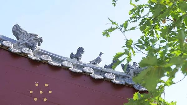 中国那些美丽到醉人的乡村,乡村旅游有哪些特色村庄