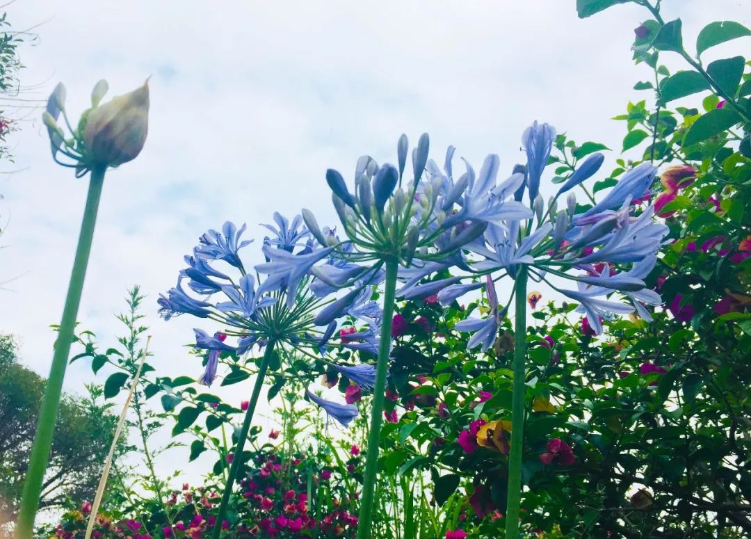 滇池边的湿地公园哪个值得去,滇池边最值得打卡的湿地