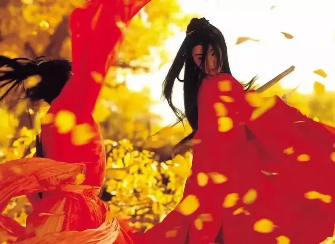 包头去额济纳胡杨林攻略,广州到额济纳胡杨林攻略