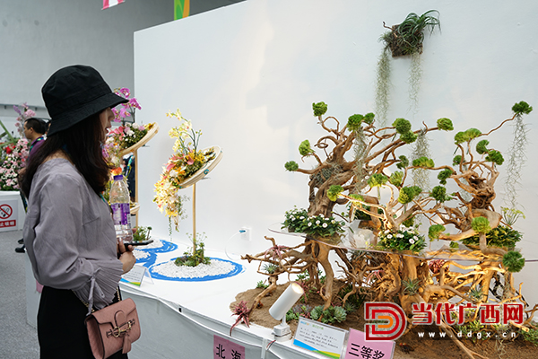 第八届广西园林园艺博览会,广西园林博览会地址