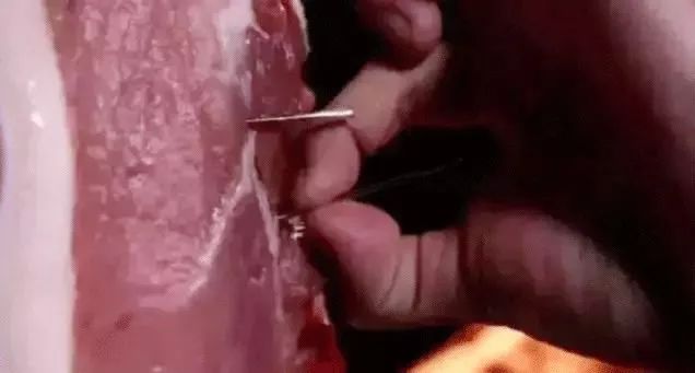 触电玩具的危险,儿童玩具触电