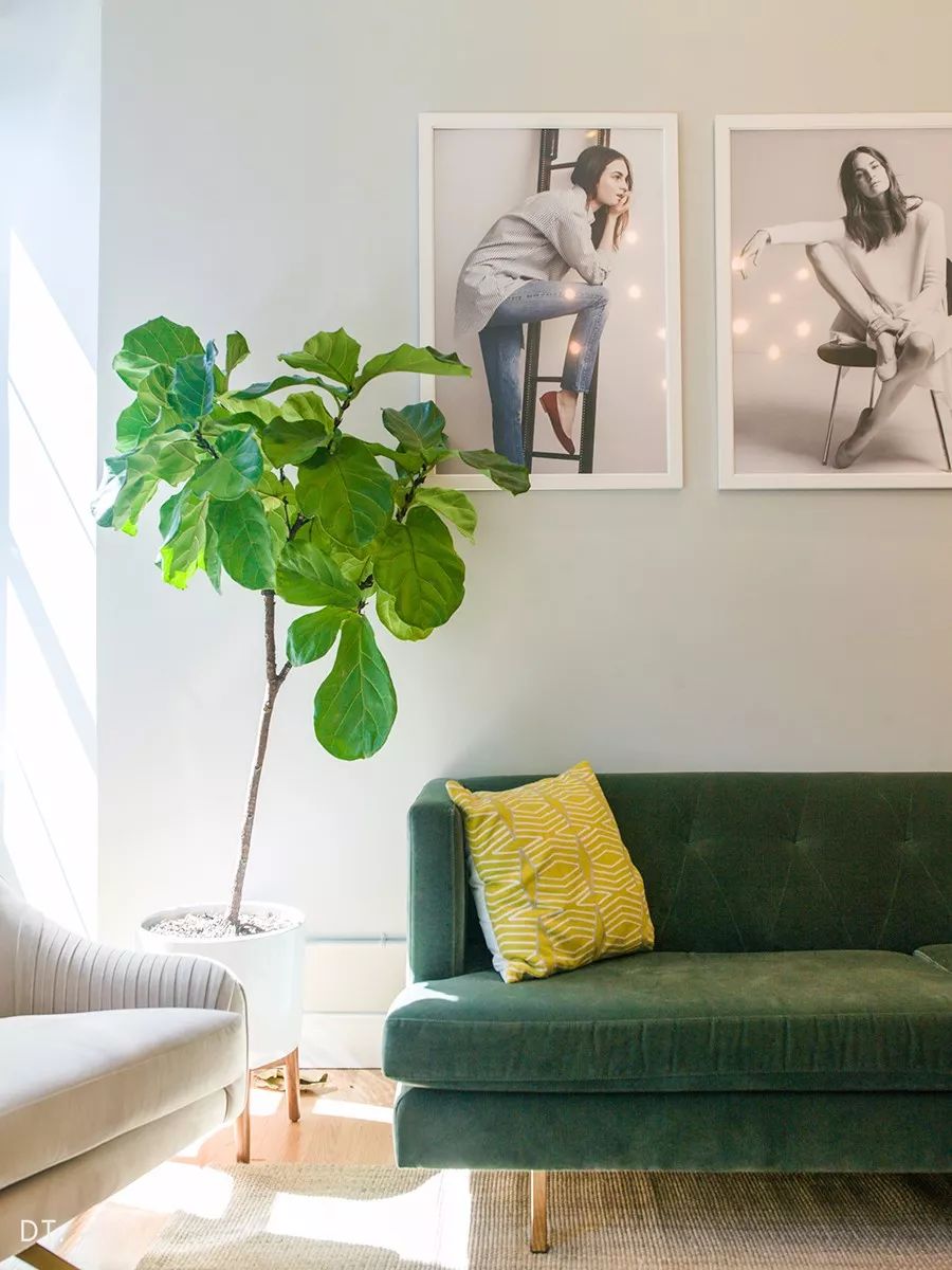 沙发承载了你的惬意,客厅沙发就是家的一道最美的风景