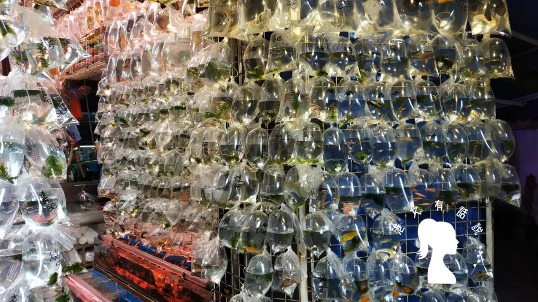 香港值得去的购物街,香港购物必去的街