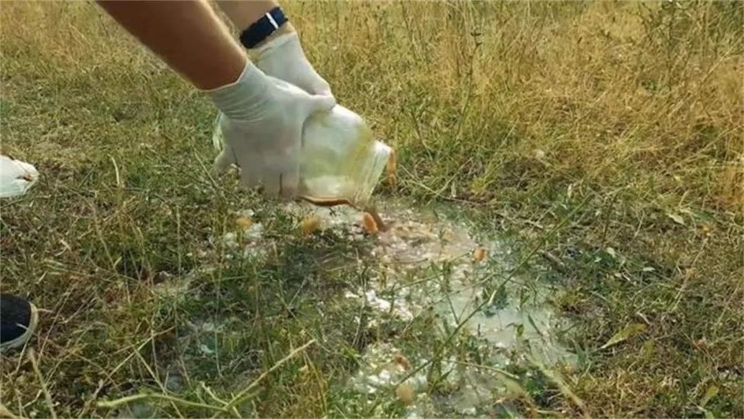 可乐真的会导致骨质疏松吗,可乐腐蚀骨头辟谣