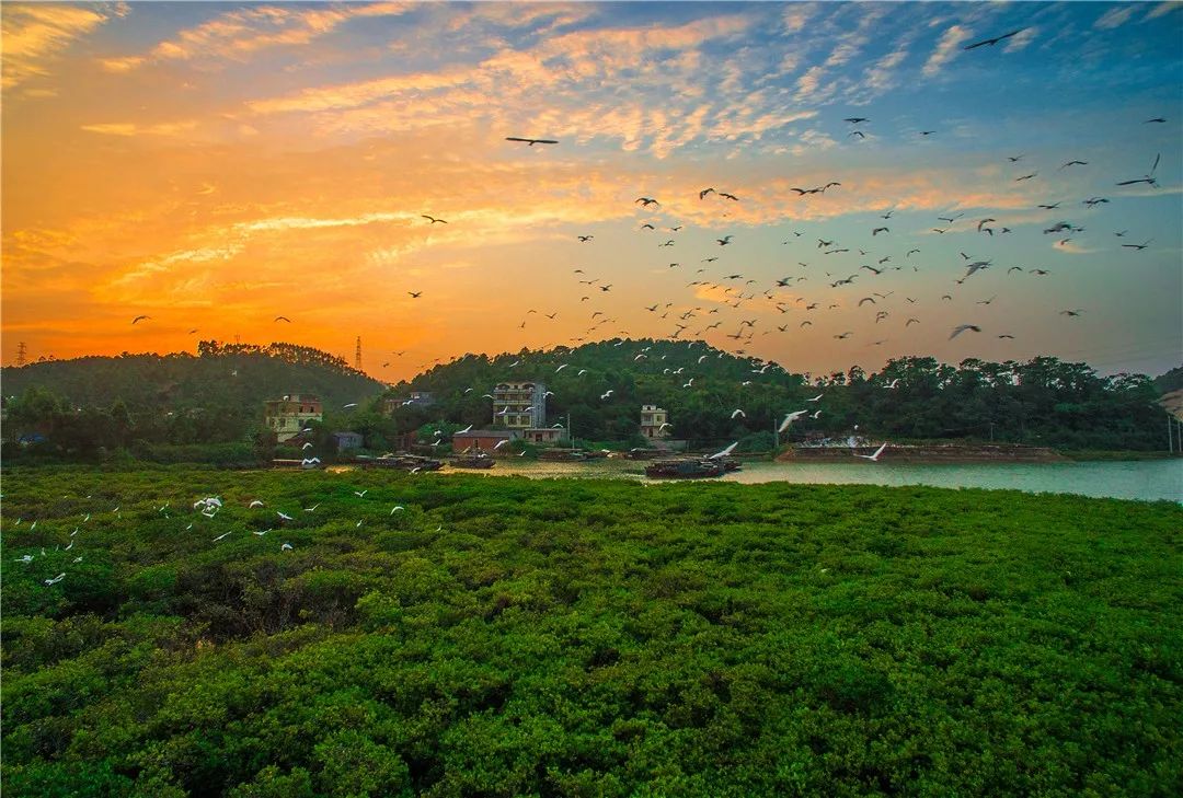 中国大陆海岸最东端,冬季北海道海鲜