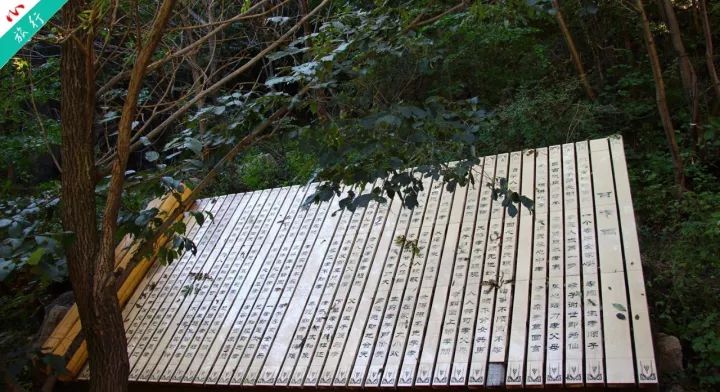 洛阳养子沟自驾游攻略,洛阳养子沟的景点