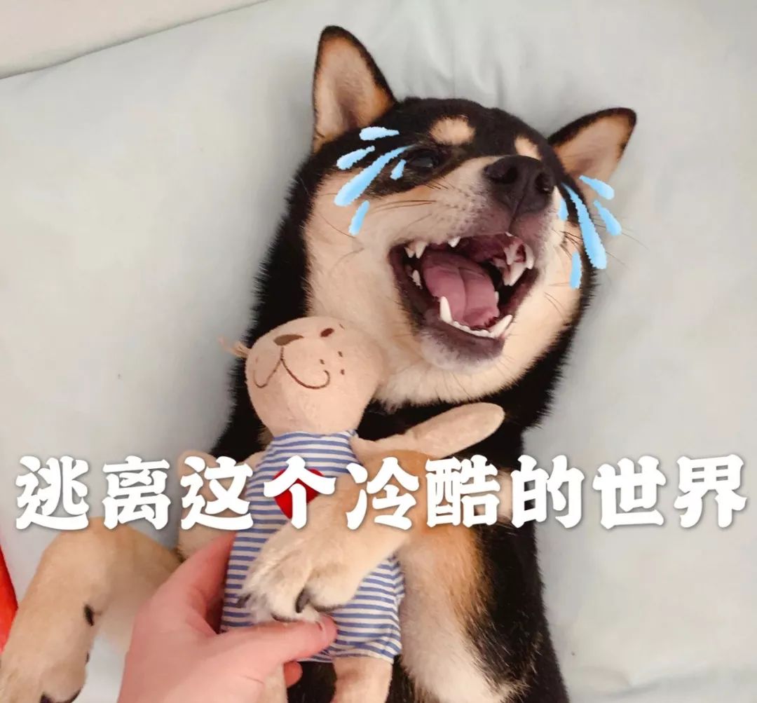 以婚恋为名骗财案例,闺蜜杀闺蜜案件视频解说