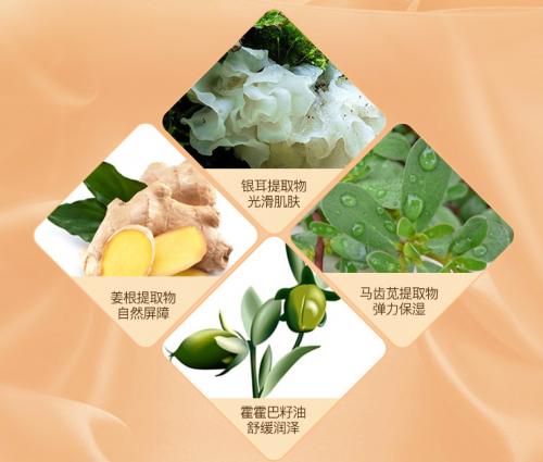 美丽加芬遮瑕霜,臻颜遮瑕保养霜