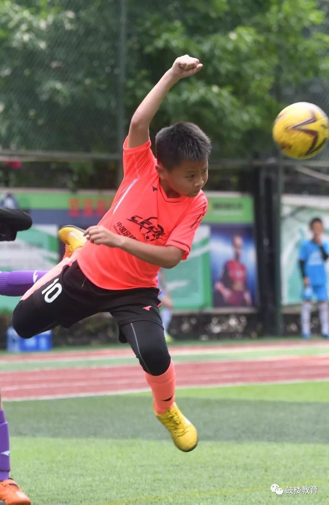 牛娃获奖视频,牛娃游泳冠军