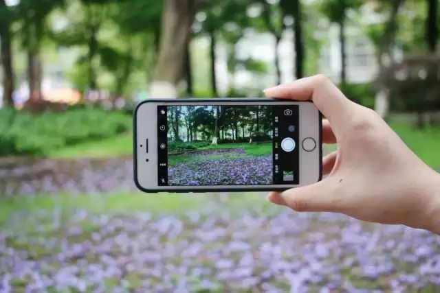 内外兼修的美才是真正的美,内外兼修的美丽