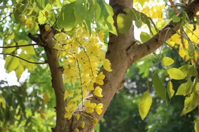 内外兼修的美才是真正的美,内外兼修的美丽