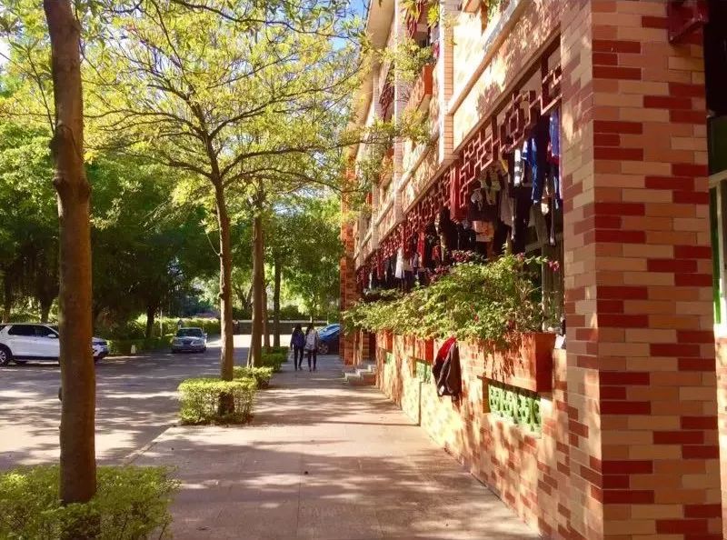 内外兼修的美才是真正的美,内外兼修的美丽