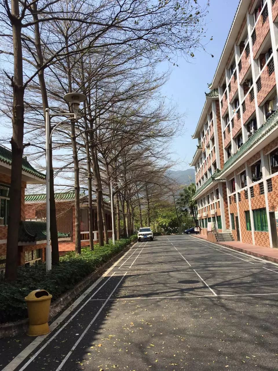 内外兼修的美才是真正的美,内外兼修的美丽