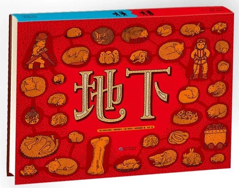 推荐最全儿童绘本书单,绘本阅读每日书单图片