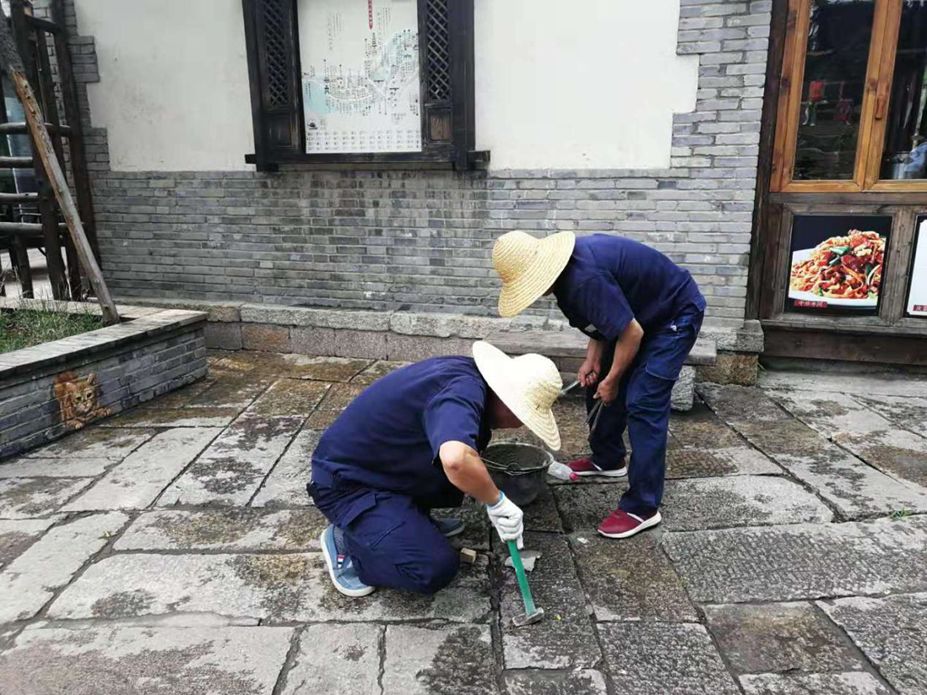 从旅游城市到旅游景点,从旅游看岁月静好