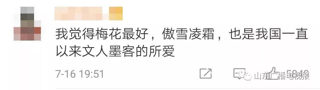 人大代表提议牡丹为国花,建议将牡丹确定为国花