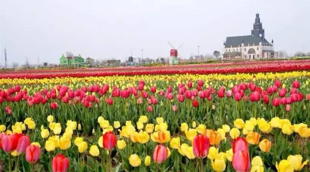 盐城相当于几个上海,上海和盐城有什么渊源