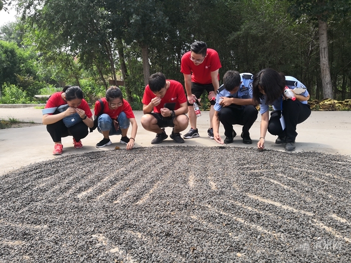 山东政法学院志愿者,山东政法学院志愿者活动