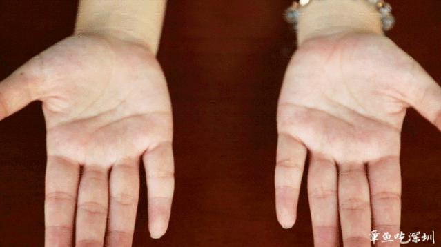 大龙华夜茶,大龙华夜茶怎么样