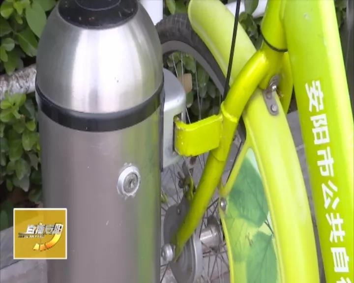 小绿车被偷了,安阳小绿车事件